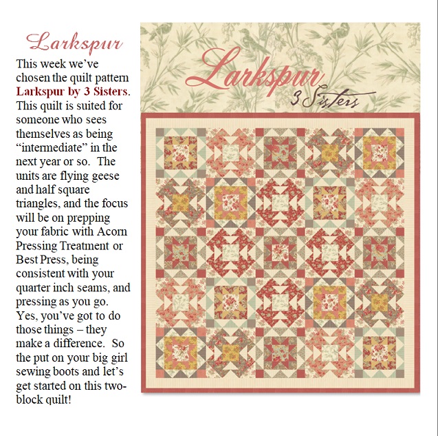 Larkspur