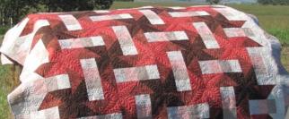 Quilt Stroll 2010